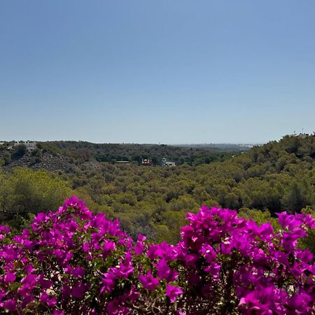 Orihuela - Las Ramblas - Casa Pino Dehesa de Campoamor  Bagian luar foto