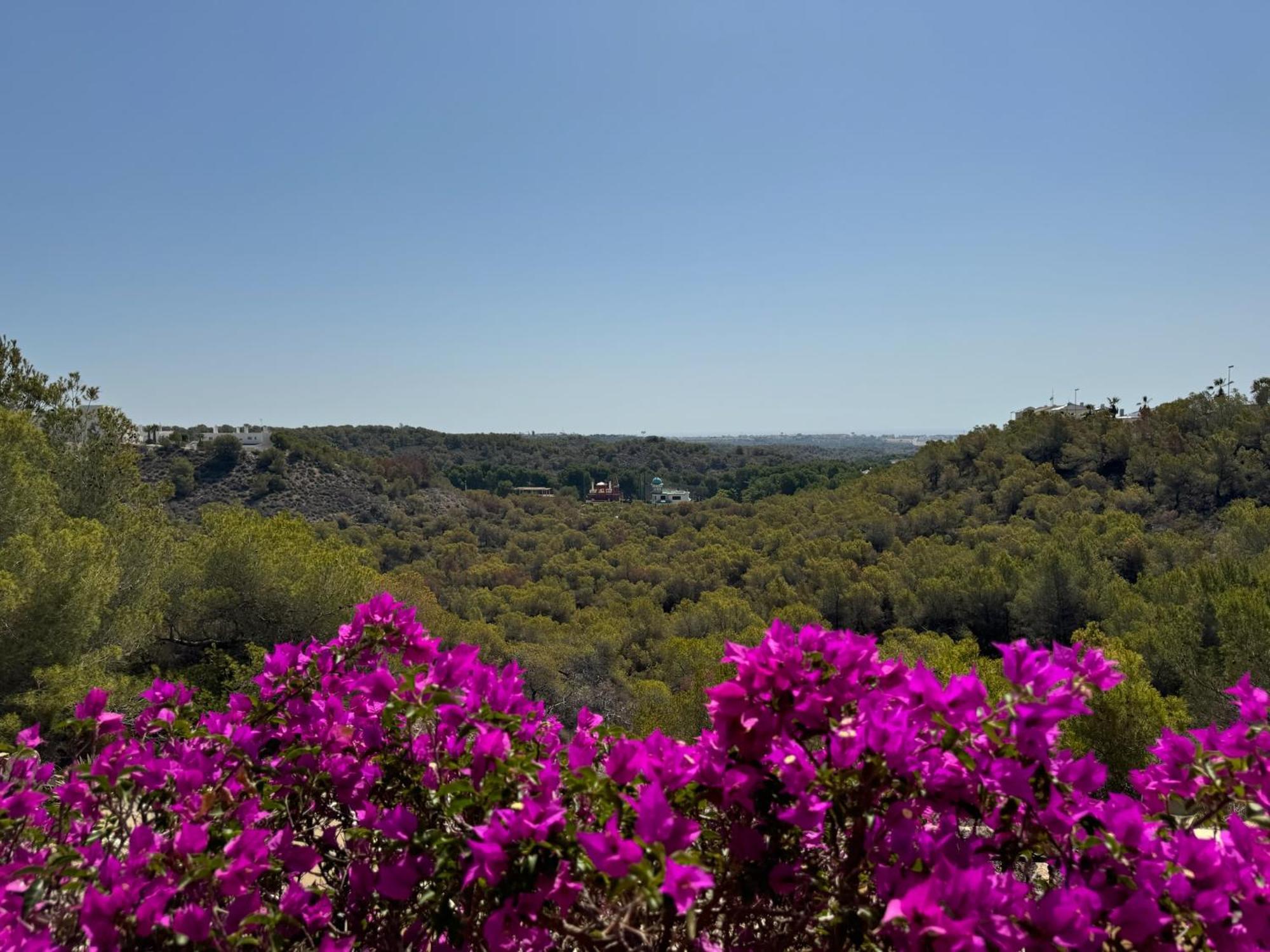 Orihuela - Las Ramblas - Casa Pino Dehesa de Campoamor  Bagian luar foto
